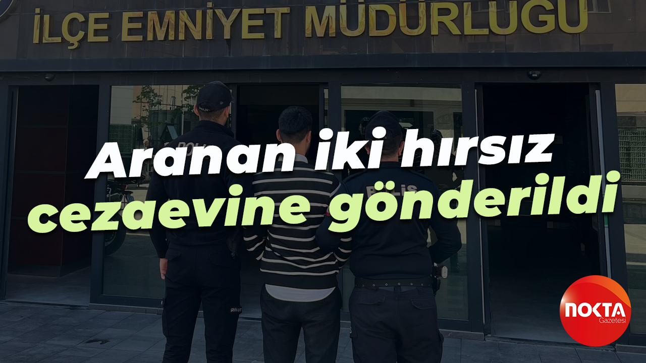 Aranan iki hırsız cezaevine gönderildi
