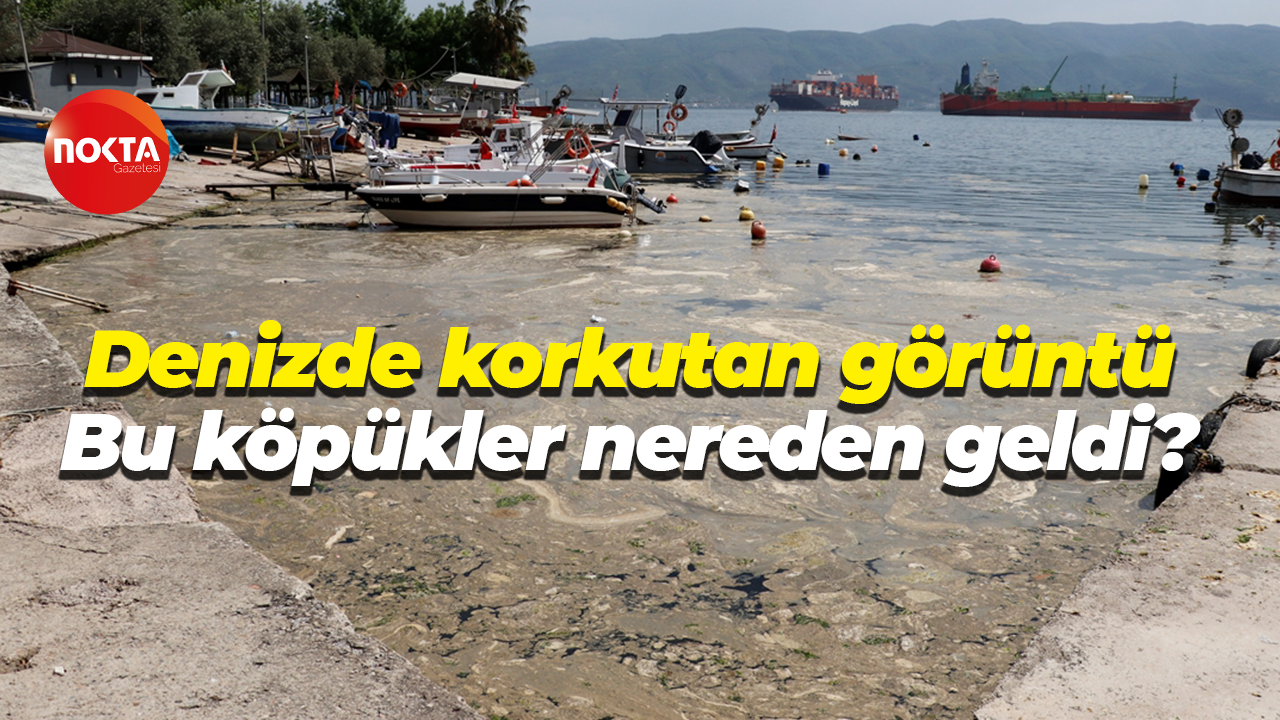 Denizde korkutan görüntü Bu köpükler nereden geldi?