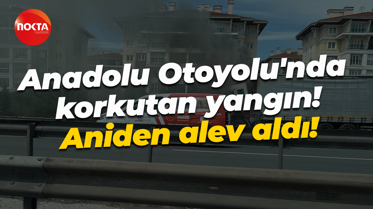 Anadolu Otoyolu'nda korkutan yangın! Aniden alev aldı!