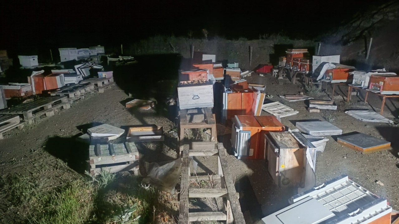 Arı kovanları feci şekilde yandı!