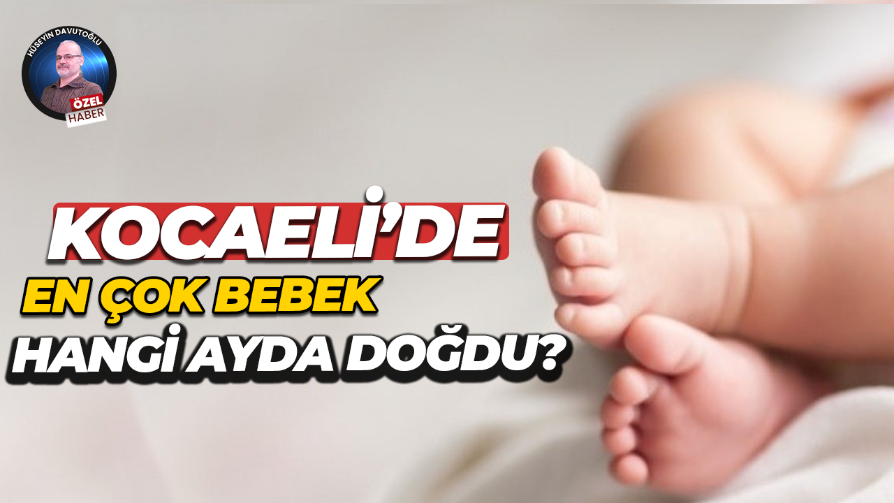 Kocaeli'de en çok bebek hangi ayda doğdu?