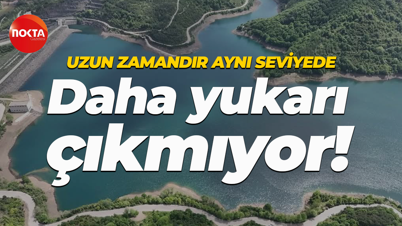 Uzun zamandır aynı seviyede... Daha yukarı çıkmıyor!