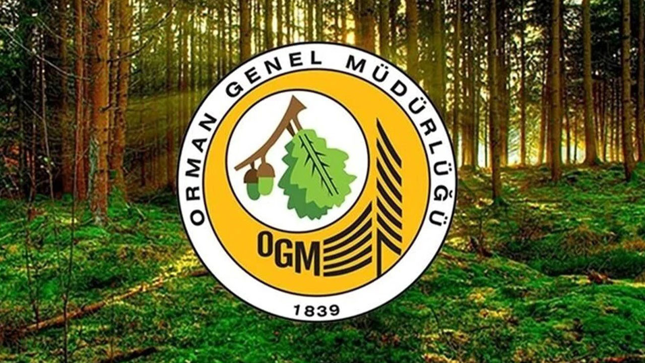OGM 63 GEÇİCİ İŞÇİ ALIMI BAŞVURU | Orman Genel Müdürlüğü İş Başvurusu Nereden, Nasıl Yapılır?