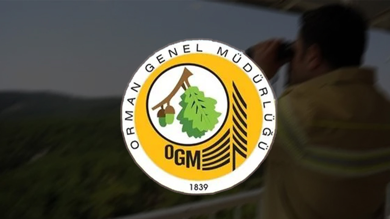 Orman Genel Müdürlüğü Sonuçları: OGM 3477 Personel Başvuru Sonuçları Ne Zaman Açıklanacak?