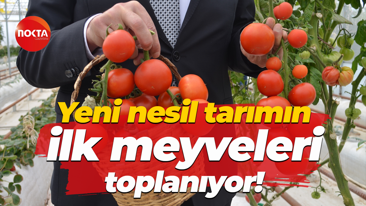 Yeni nesil tarımın ilk meyveleri toplanıyor!