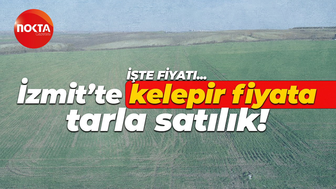 İzmit’te kelepir fiyata tarla satılık! İşte fiyatı