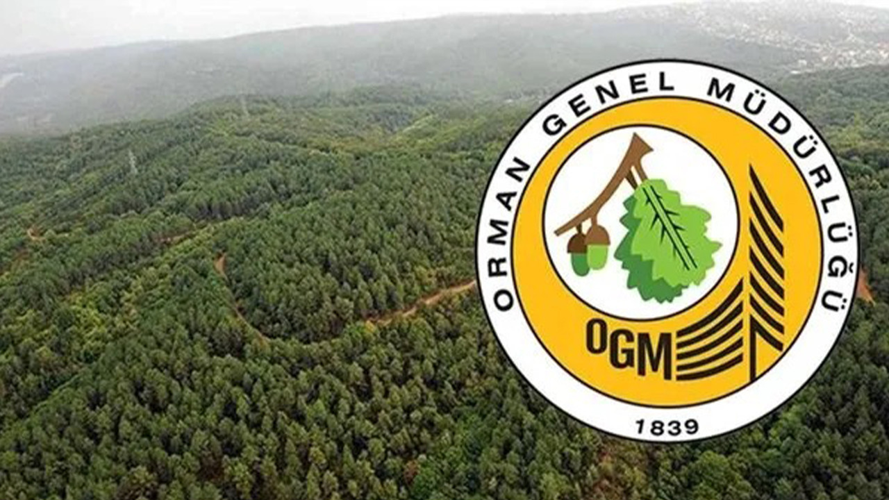 OGM 3477 İŞÇİ ALIMI SONUÇLARI | Orman Genel Müdürlüğü Başvuru Sonuçları Nasıl Öğrenilir?