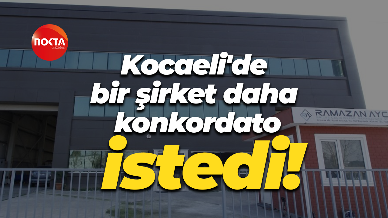 Kocaeli'de bir şirket daha konkordato istedi!