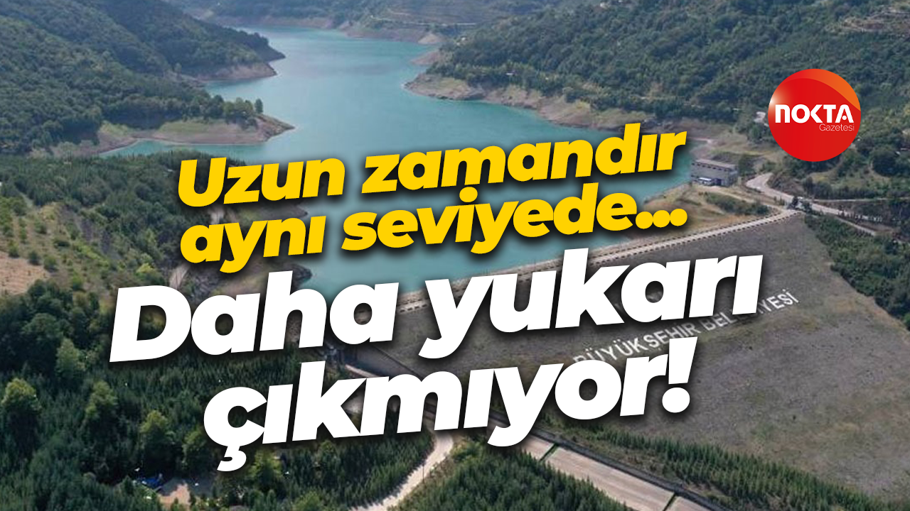 Uzun zamandır aynı seviyede... Daha yukarı çıkmıyor!