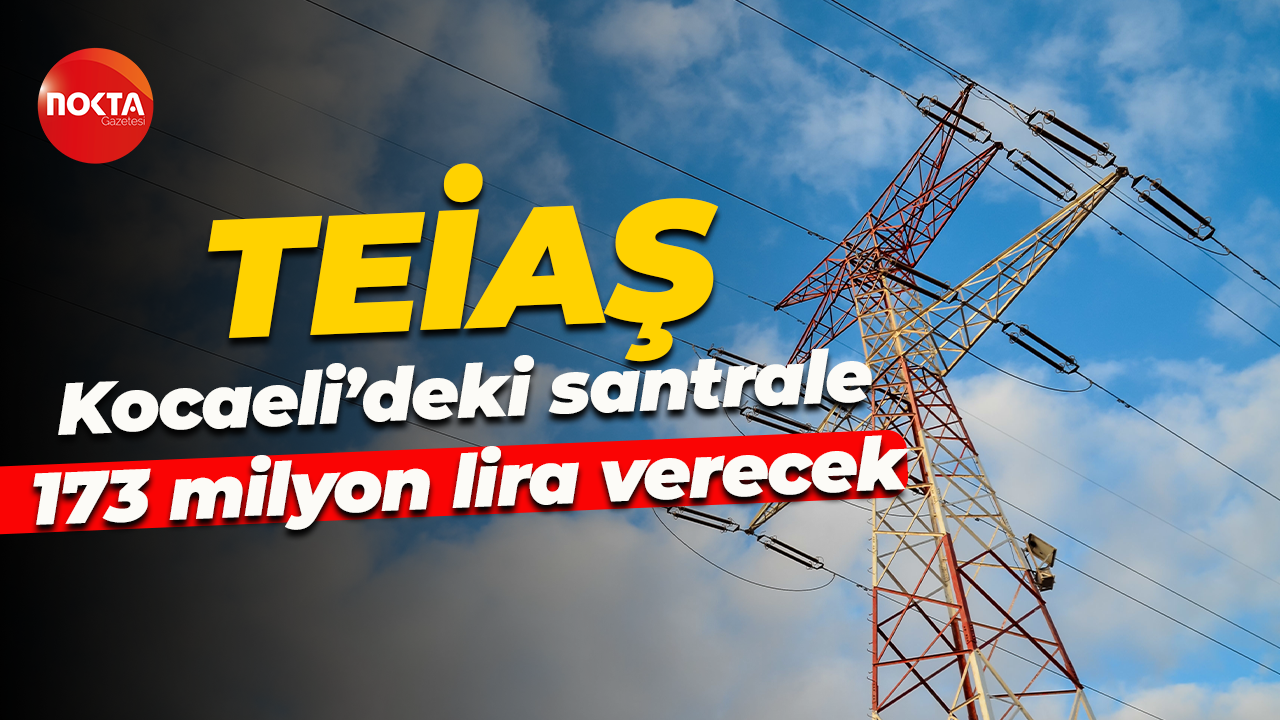 TEİAŞ, Kocaeli’deki santrale 173 milyon lira verecek