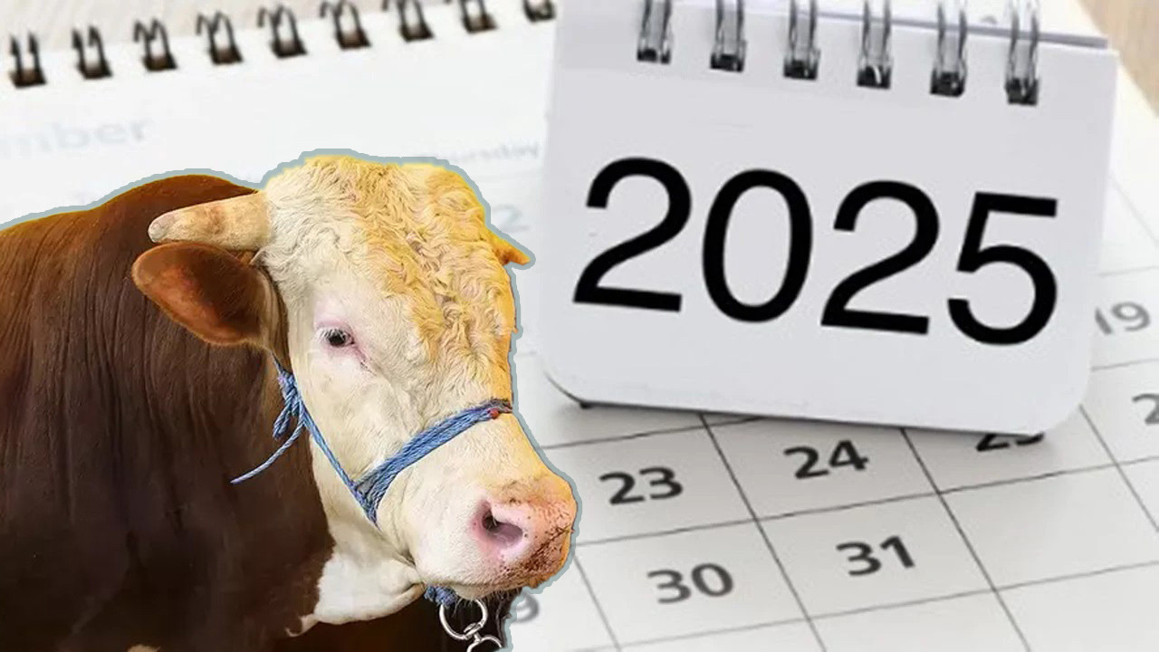 5 Haziran Perşembe Günü Tatil Mi? Kurban Bayramı Arife Günü Öğleden Sonra Tatil Mi?