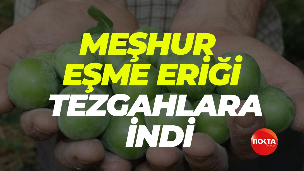 Meşhur Eşme eriği tezgahlara indi