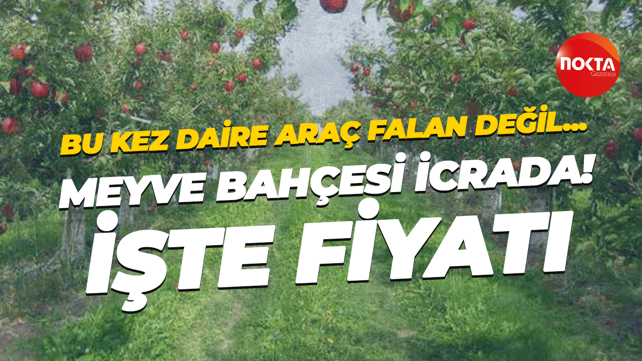 Kartepe Suadiye’de meyve bahçesi satılık! İşte fiyatı