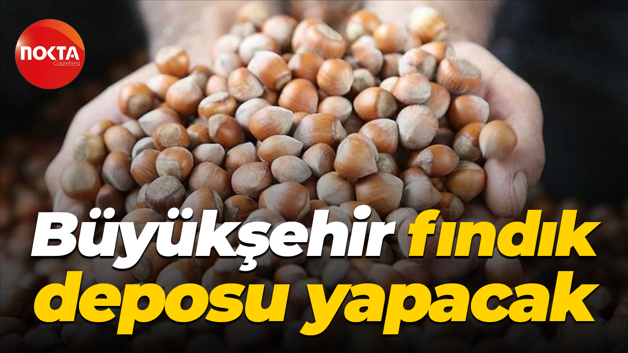 Büyükşehir fındık deposu yapacak