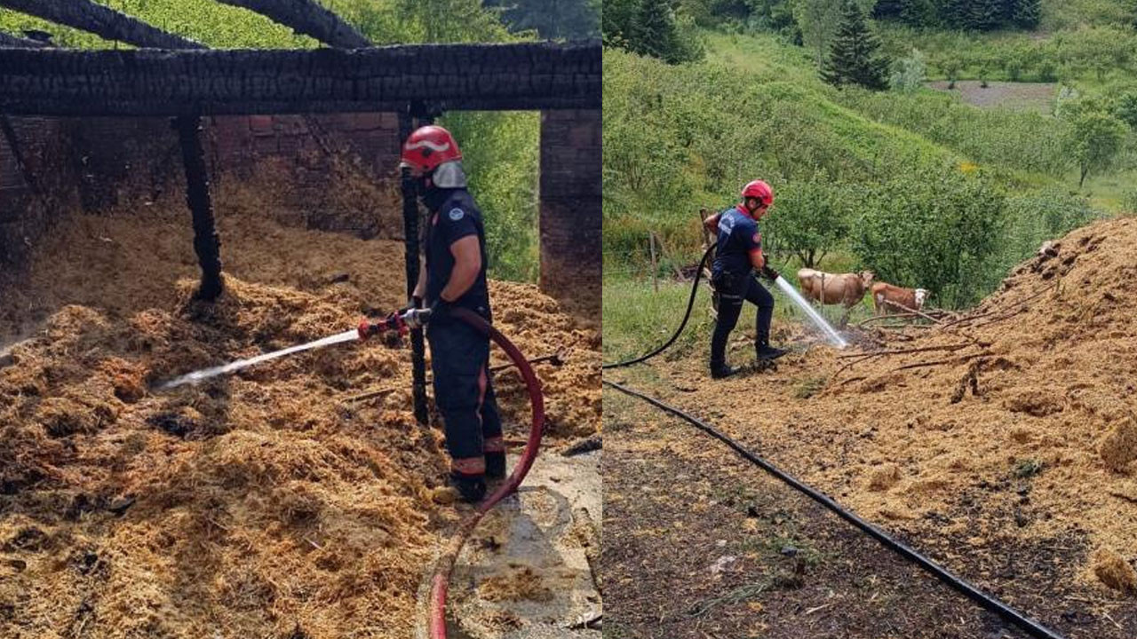 Samanlık ve ahırda çıkan yangında 24 civciv telef oldu