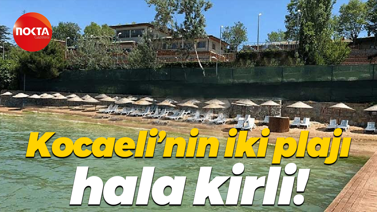 Kocaeli’nin iki plajı hala kirli!