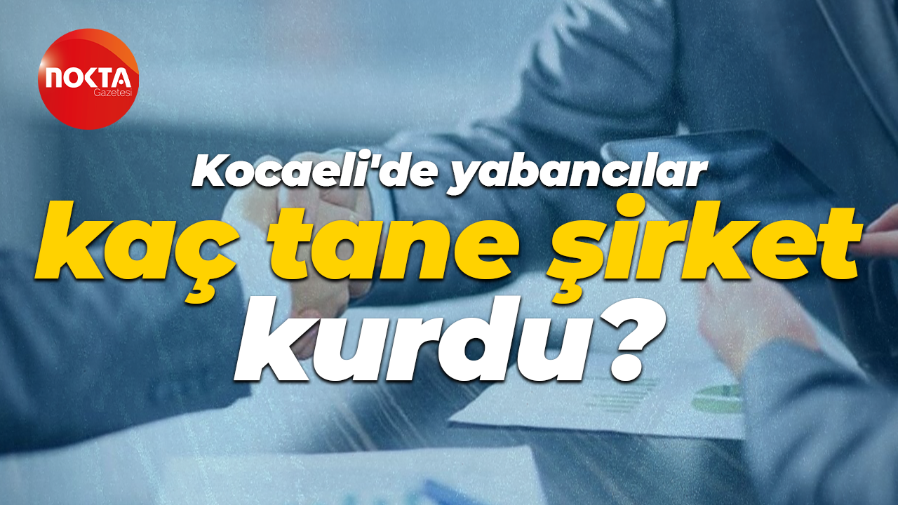 Kocaeli'de yabancılar kaç tane şirket kurdu?