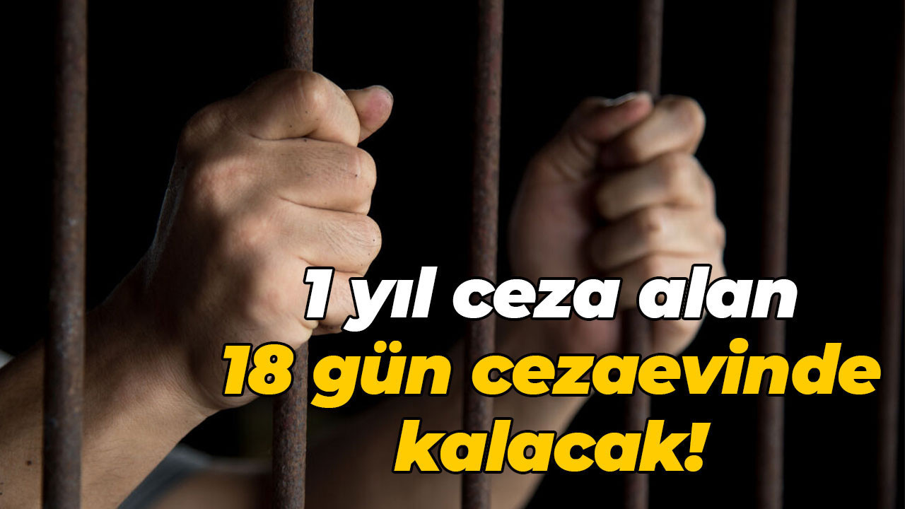 1 yıl ceza alan 18 gün cezaevinde kalacak!
