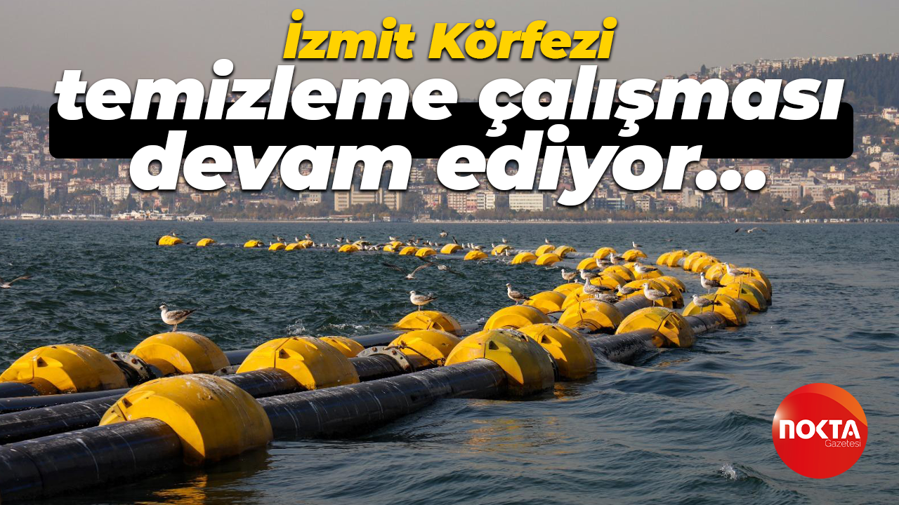 İzmit Körfezi temizleme çalışması devam ediyor… Denizdeki oksijen seviyesi yüzde 40 arttı!