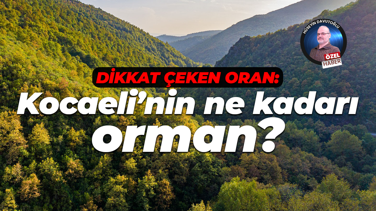 Dikkat çeken oran: Kocaeli’nin ne kadarı orman?