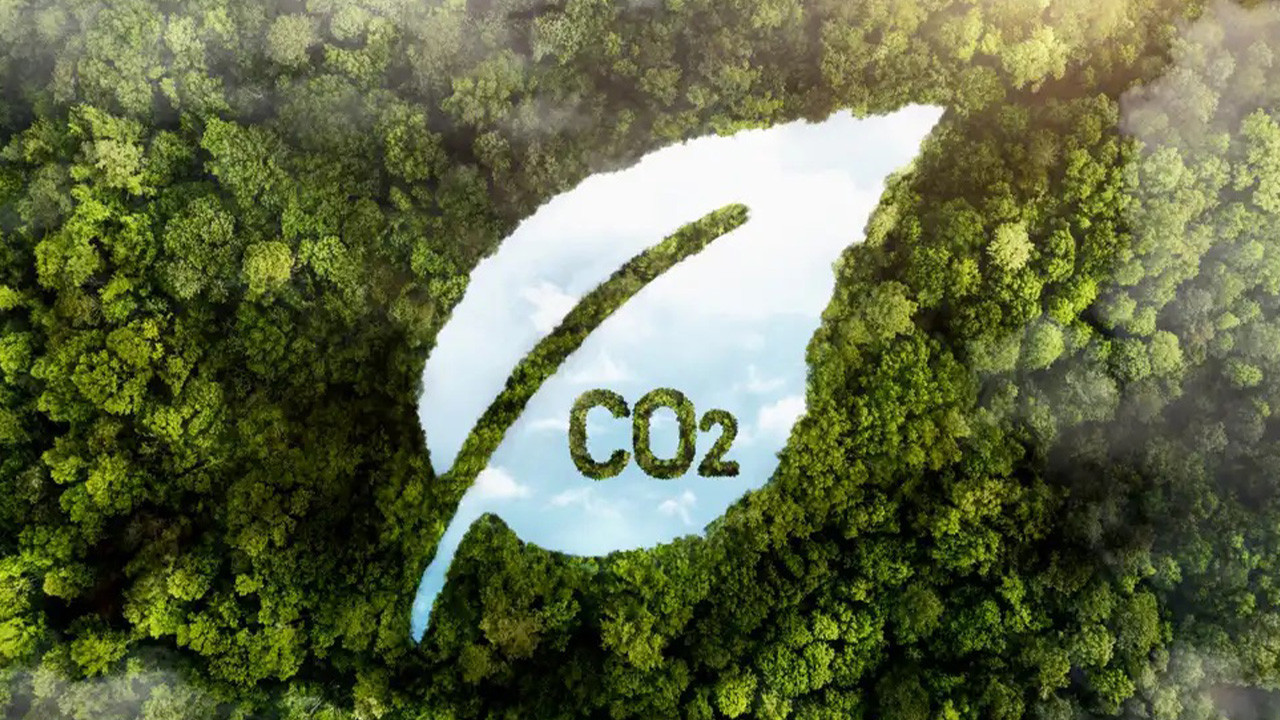 Karbon Ayak İzi Nedir? Nasıl Azaltılır?