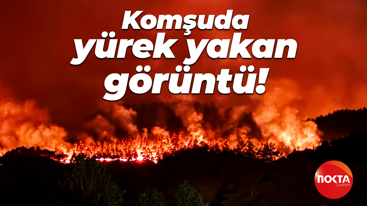 Sakarya'da yürek yakan görüntü: Kent alev alev yandı!