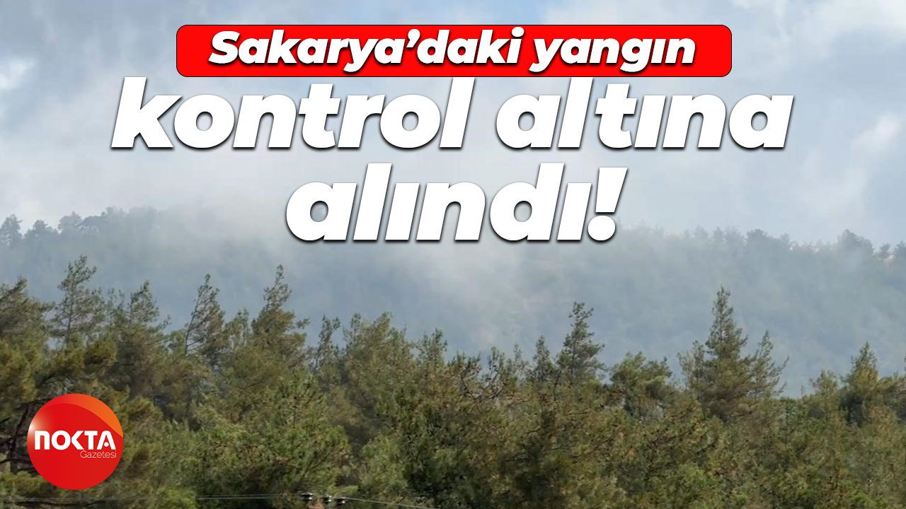 İbrahim Yumaklı: Sakarya'da devam eden yangın büyük oranda kontrol altına alındı