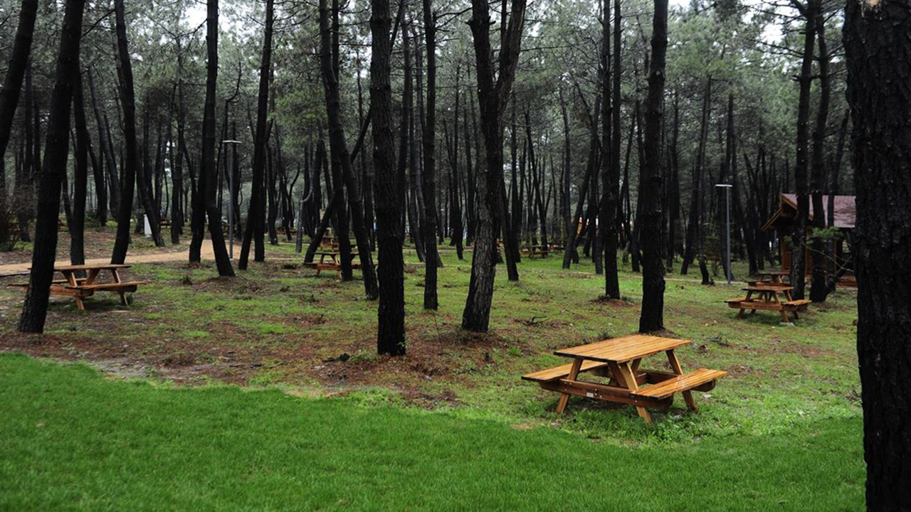Düzce’de ormana girişler yasaklandı!