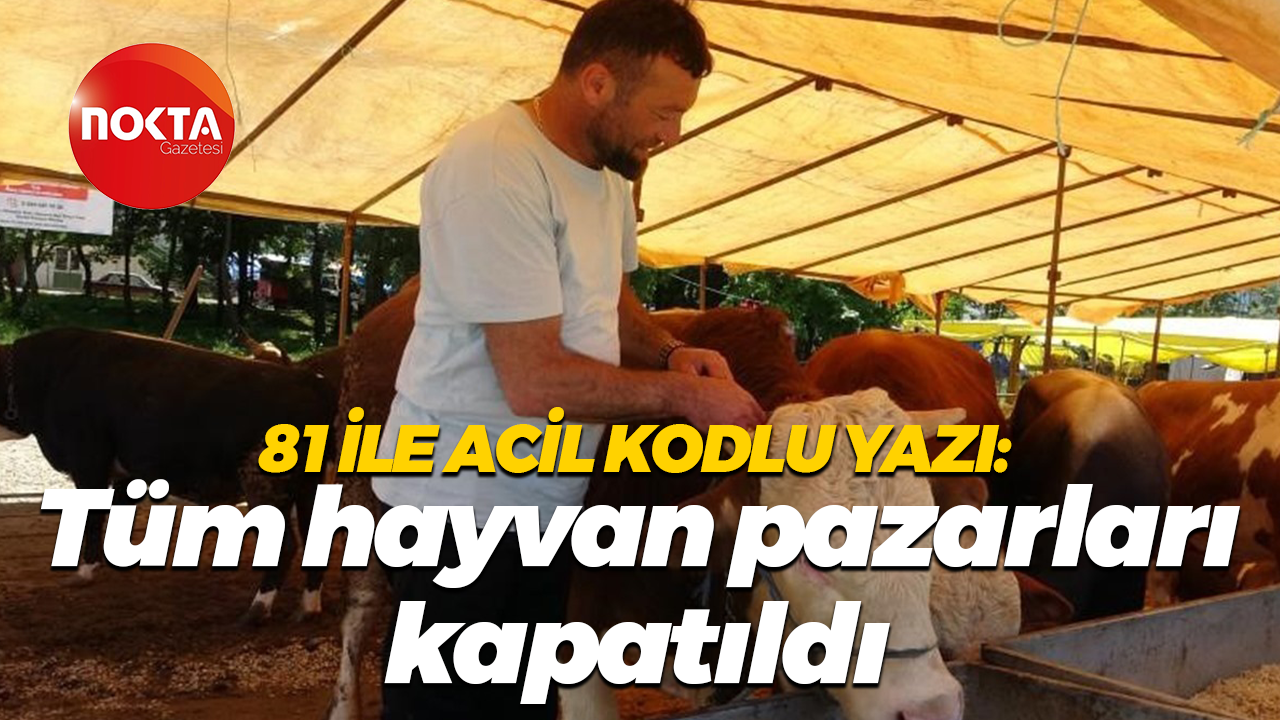 81 ile acil kodlu yazı: Tüm hayvan pazarları kapatıldı