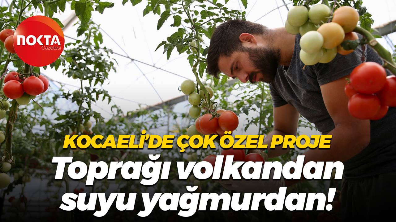 Kocaeli’de çok özel proje; Toprağı volkandan, suyu yağmurdan!