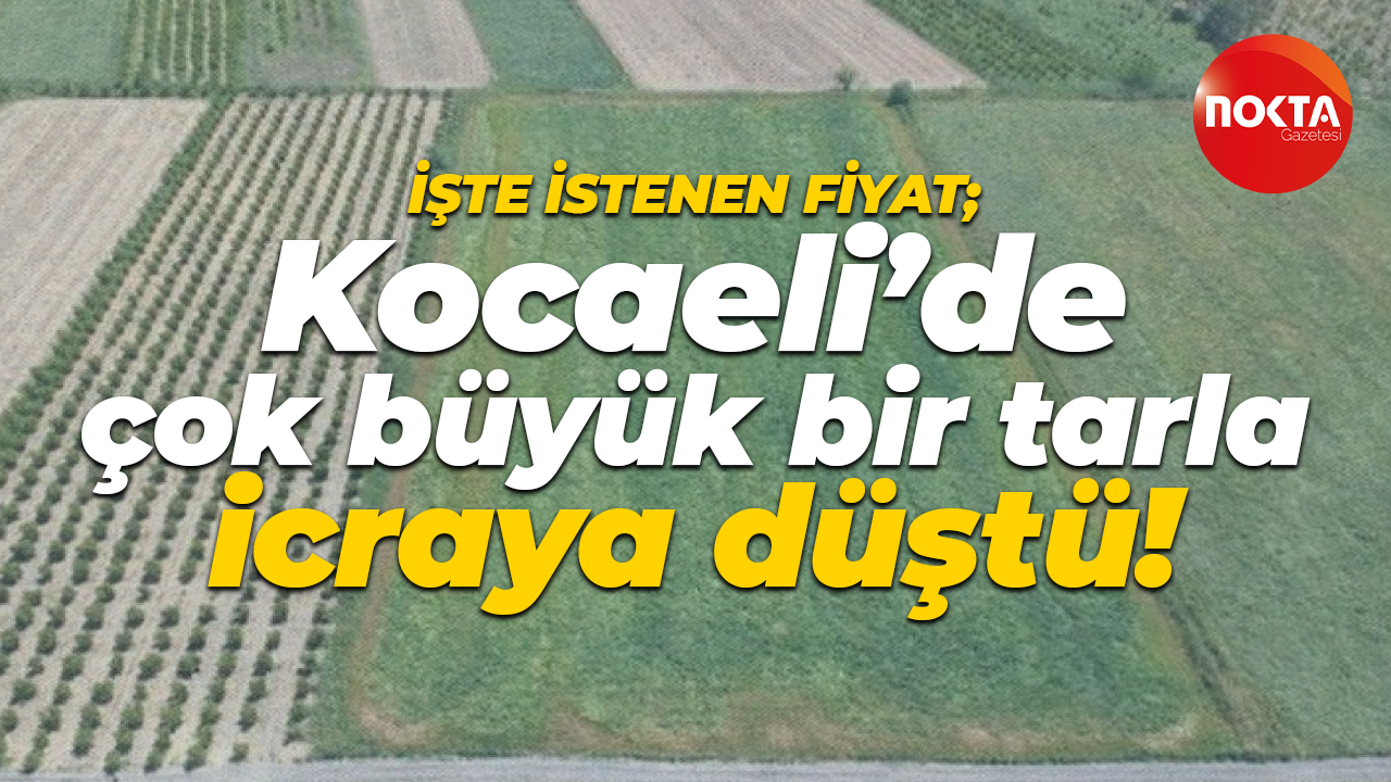 Kocaeli’de çok büyük bir tarla icraya düştü!