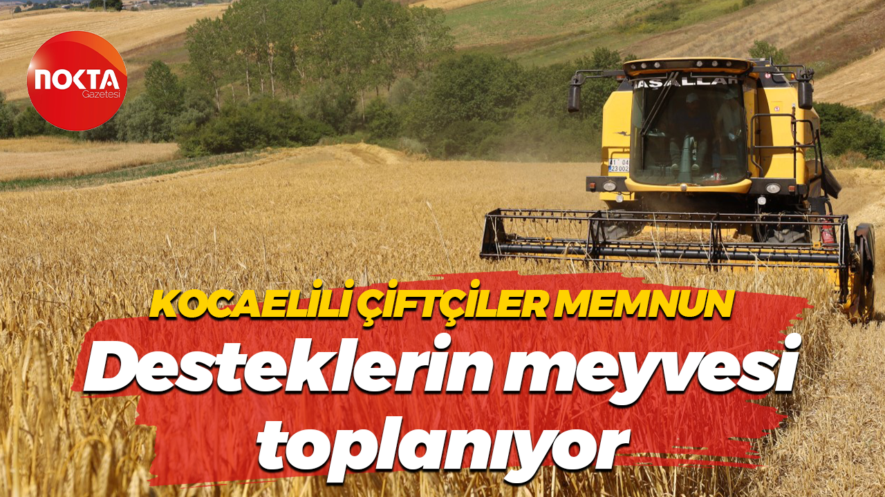 Kocaelili çiftçiler memnun... Desteklerin meyvesi toplanıyor