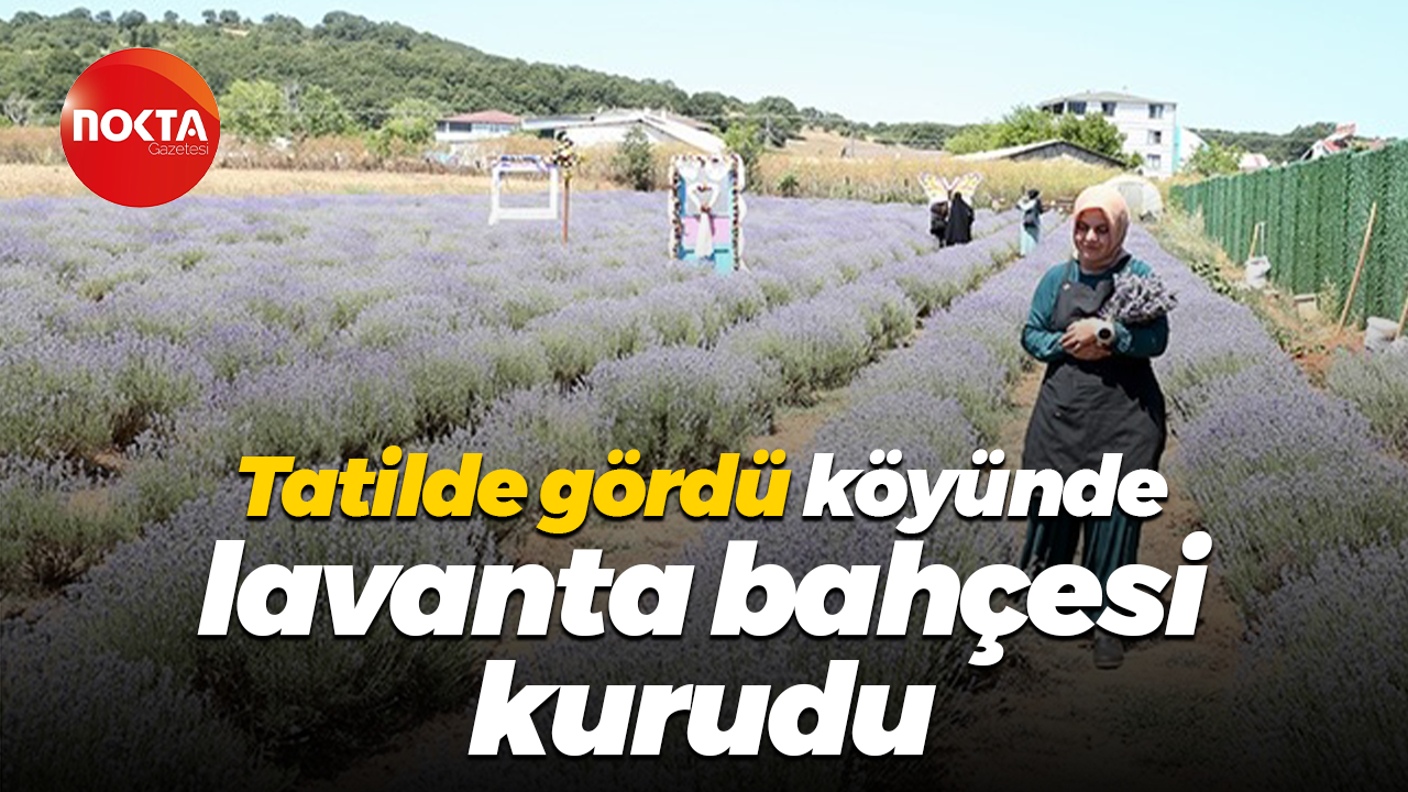Tatilde gördü, köyünde lavanta bahçesi kurudu