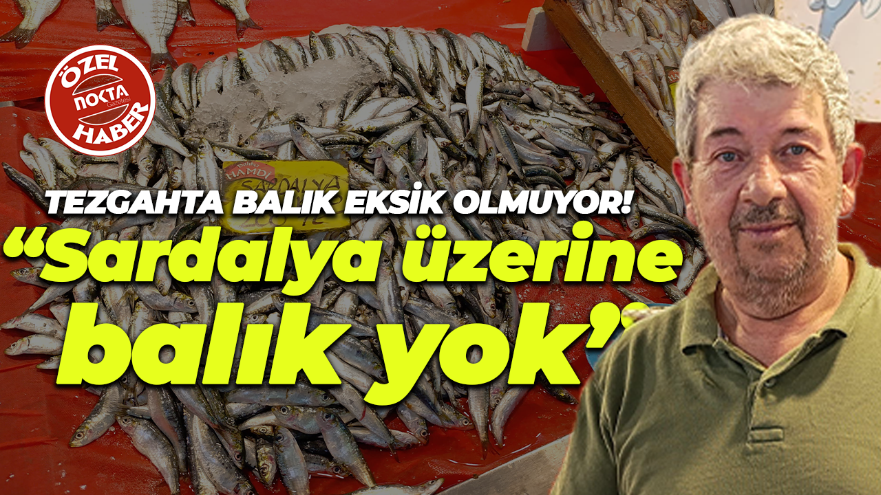 Tezgahta balık eksik olmuyor! “Sardalya üzerine balık yok”