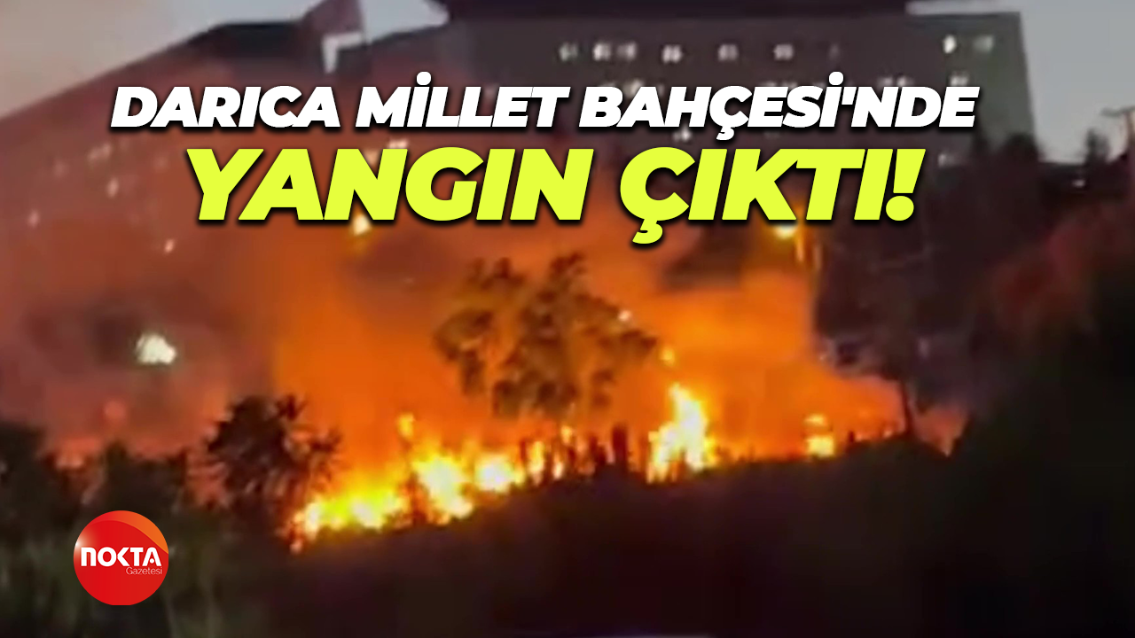 Darıca Millet Bahçesi'nde yangın çıktı!
