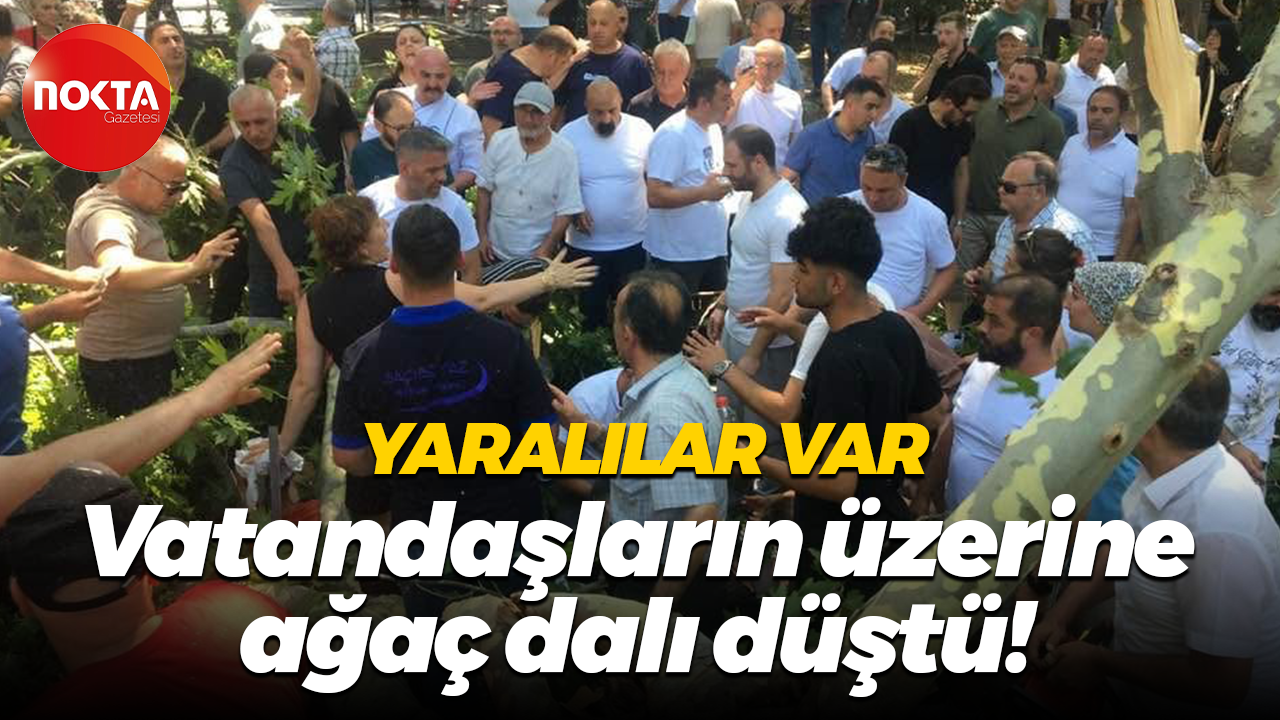 Değirmendere’de korku dolu anlar! Vatandaşların üzerine ağaç dalı devrildi