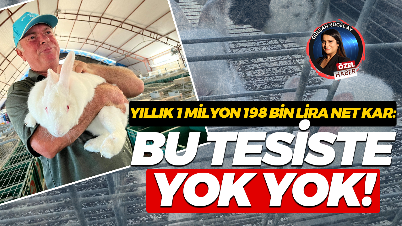 İzmitli üretici tavşan çiftliğini Nokta Medya’ya anlattı: Bu tesiste yok yok!