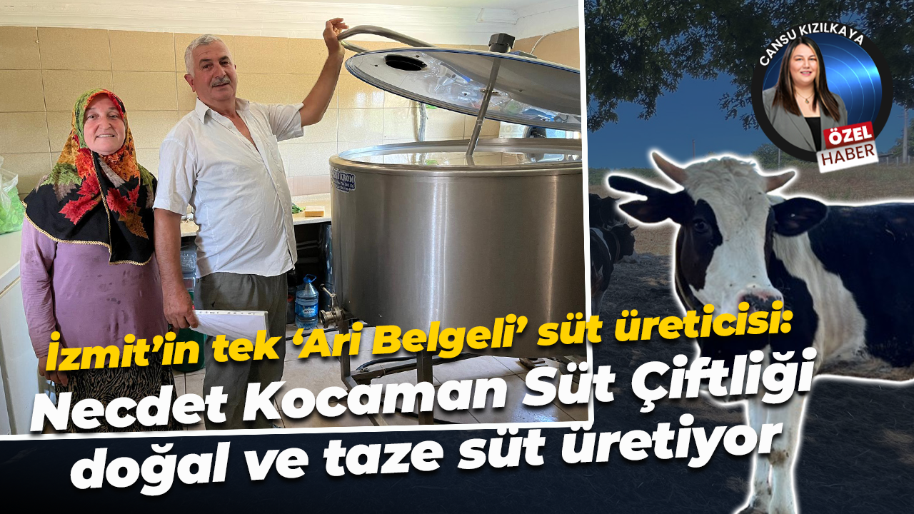 İzmit’in tek ‘Ari Belgeli’ süt üreticisi: Necdet Kocaman Süt Çiftliği doğal ve taze süt üretiyor