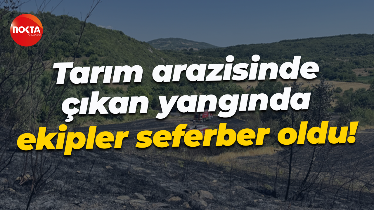 Tarım arazisinde çıkan yangında ekipler seferber oldu!