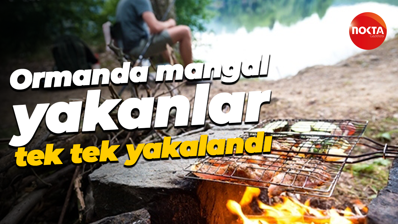 Ormanda mangal yakanlar tek tek yakalandı