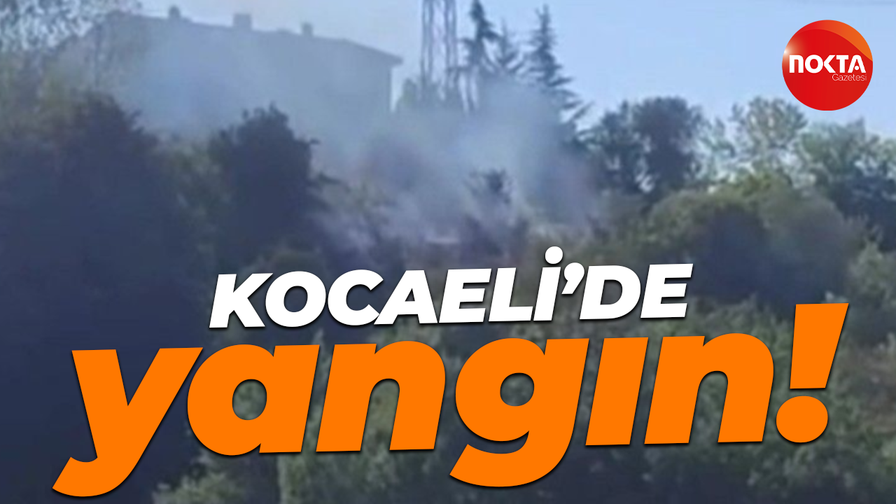 Kocaeli'de otluk alanda yangın çıktı!