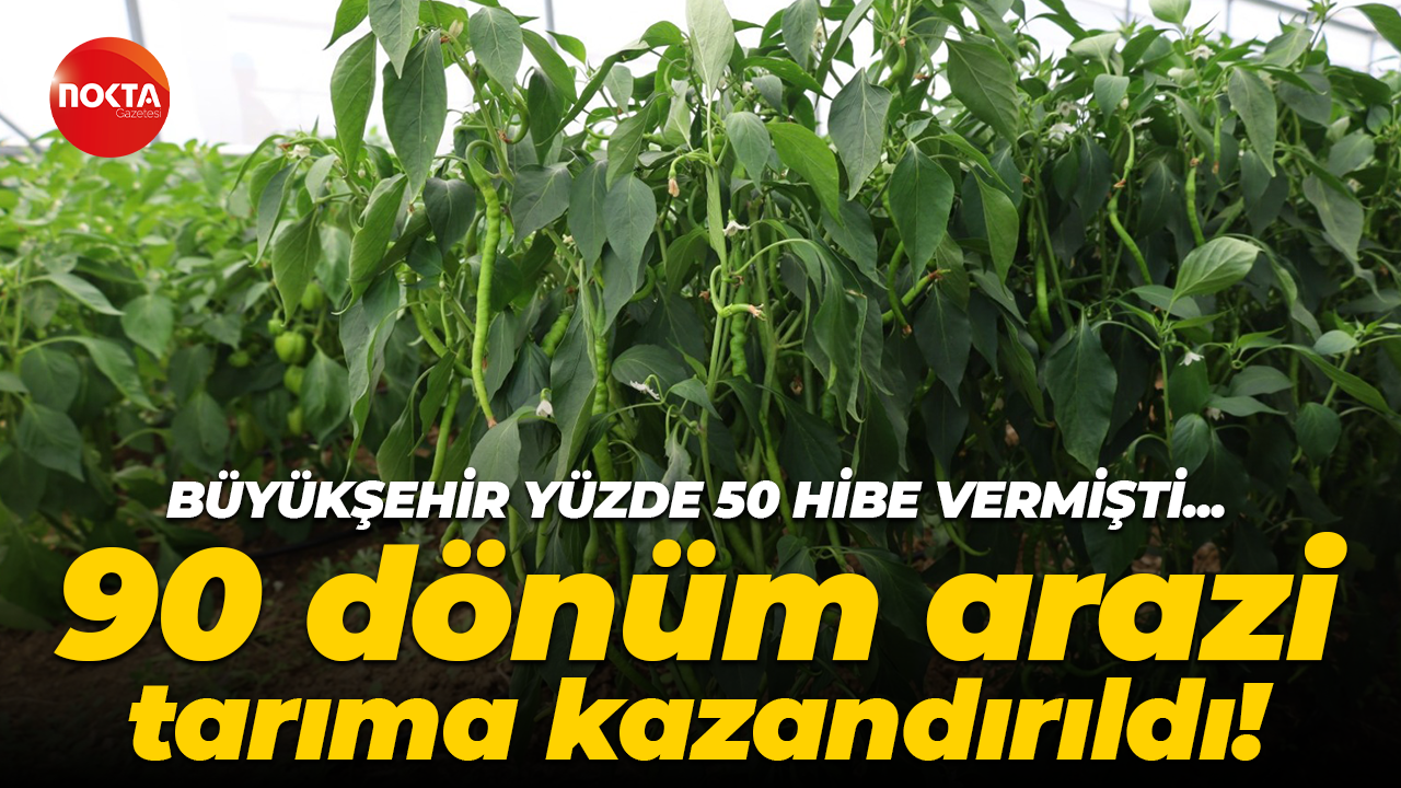 Kocaeli Büyükşehir Belediyesi’nin yüzde 50 hibeli desteği sürüyor! Hasat başladı