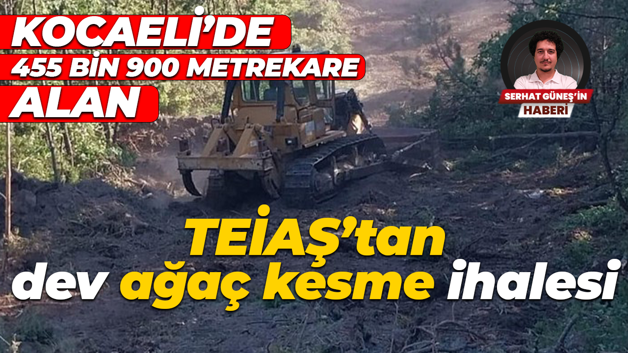 Kocaeli’de 455 bin 900 metrekare alan: TEİAŞ’tan dev ağaç kesme ihalesi