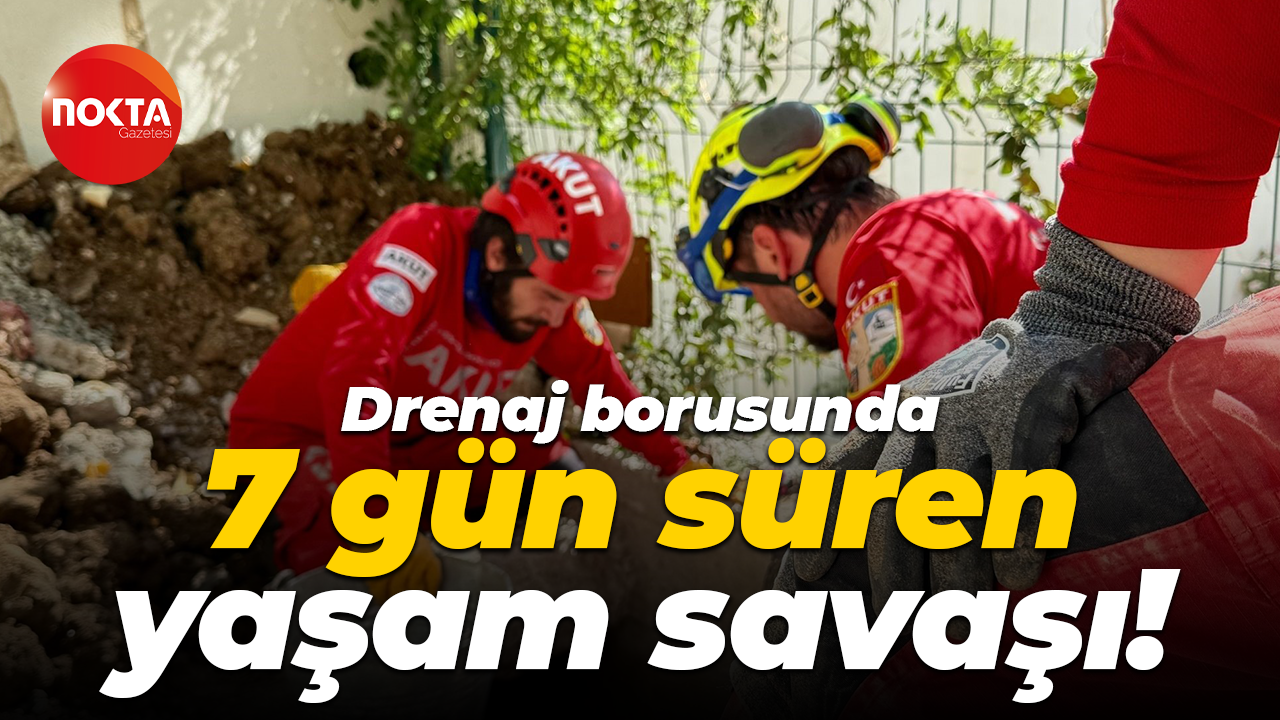 Kocaeli'de drenaj borusunda 7 gün süren yaşam savaşı!