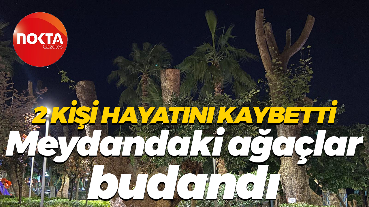 2 kişi hayatını kaybetti... Meydandaki ağaçlar budandı