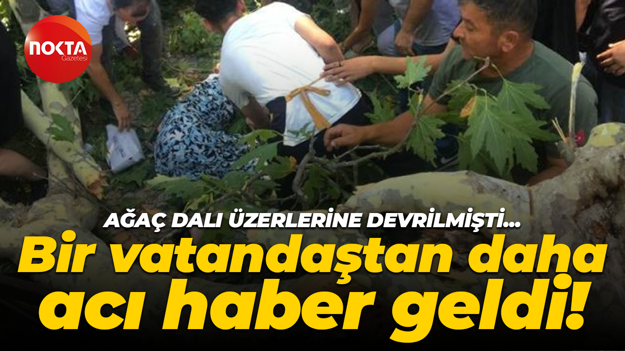 Gölcük'te ağaç dalı üzerlerine düşmüştü: Bir vatandaştan daha acı haber geldi!