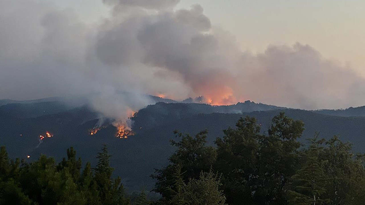 ESKİŞEHİR YANGIN ŞEHİTLERİ İSİM LİSTESİ: Eskişehir Orman Yangınlarındaki 10 Şehidin İsimleri