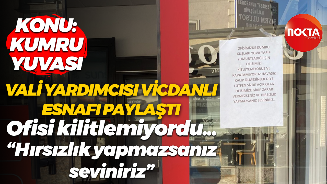 Yuva yapan kumrular için dükkanını kilitlemeyen Kocaelili esnaf: Hırsızlık yapmazsanız seviniriz!