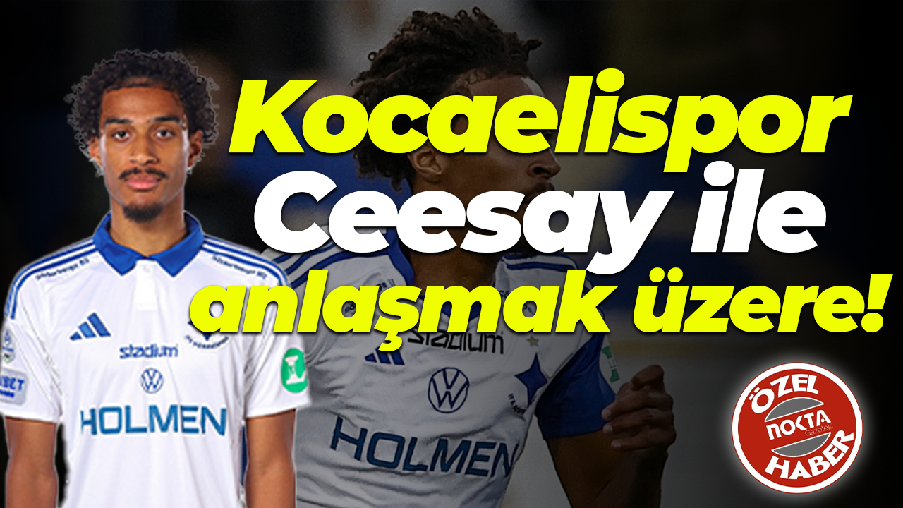 Kocaelispor, Ceesay ile anlaşmak üzere!