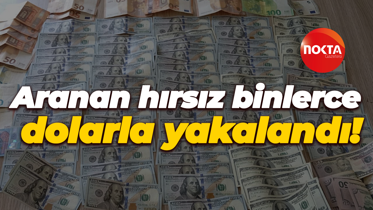 Aranan hırsız binlerce dolarla yakalandı!